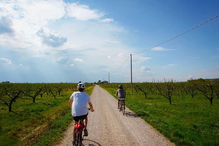 E‑Bike Loop from Villafranca to Borghetto: Scaliger Castles & Countryside (25 km)