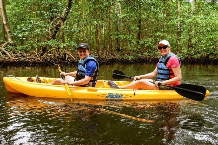 Kayaking Los Haitises National Park: Private Mangrove Paddle from Caño Hondo (2 Hours) photo 3