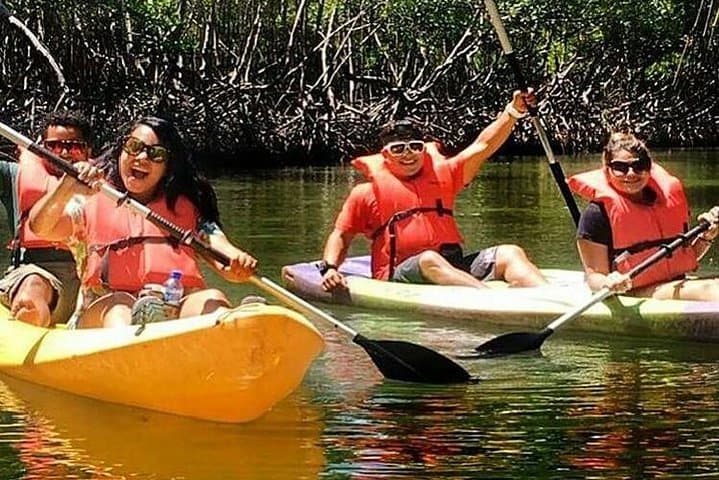 Kayaking Los Haitises National Park: Private Mangrove Paddle from Caño Hondo (2 Hours) photo 6