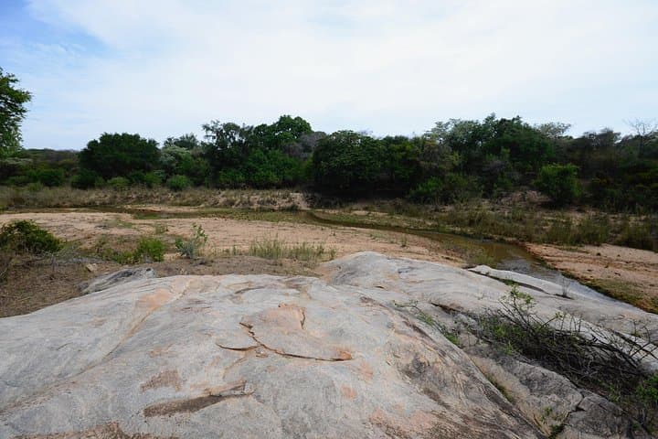 3-Day Budget Tent Safari in Kruger National Park — Klaserie River, Marc’s Camp & Blyde River Canyon photo 3