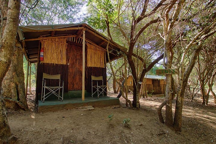 3-Day Budget Tent Safari in Kruger National Park — Klaserie River, Marc’s Camp & Blyde River Canyon