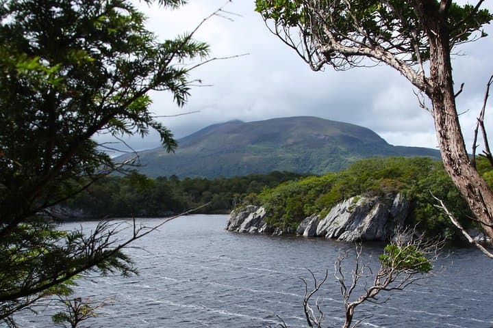 Killarney Private Tours: Ring of Kerry & Dingle with Award-Winning Driver-Guides photo 6