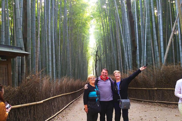 Kyoto One-Day Walking Tour: Bamboo Grove, Golden Pavilion & Fushimi Inari photo 2