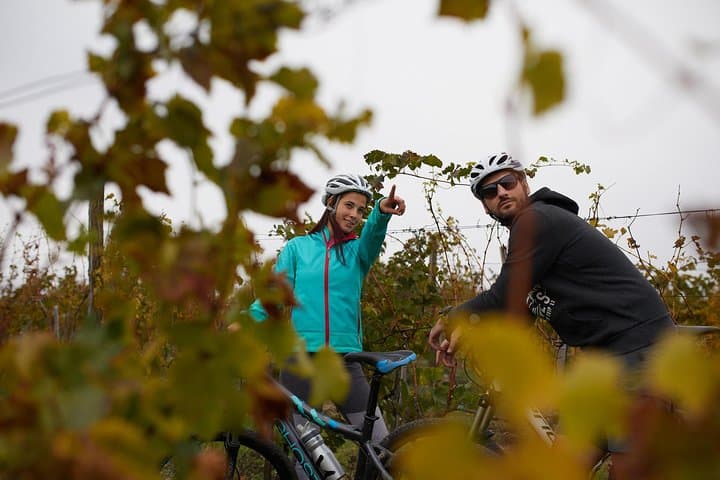 Cycle Stari Slankamen: Half-Day Ride to Roman Acumincum & Danube Beaches photo 4
