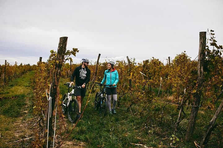 Cycle Stari Slankamen: Half-Day Ride to Roman Acumincum & Danube Beaches