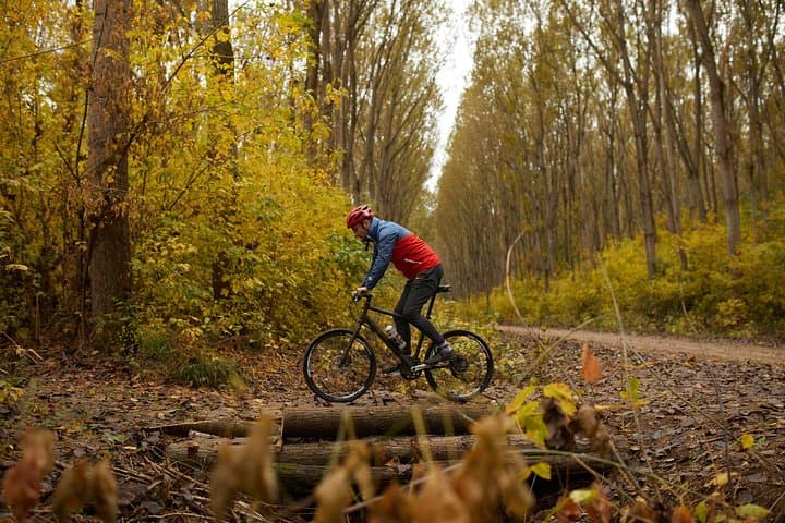 Obedska Bara Bike Tour — Day Ride Through Serbia’s Ramsar Floodplain photo 5
