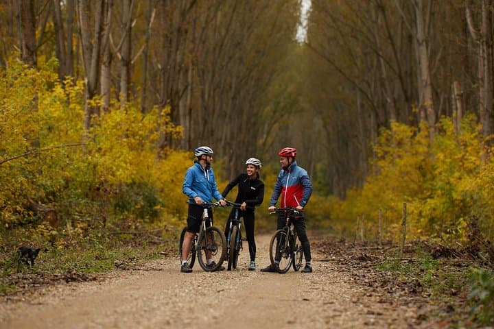 Obedska Bara Bike Tour — Day Ride Through Serbia’s Ramsar Floodplain