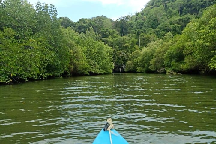 Krabi Kayaking at Ban Bor Thor: Ancient Caves & Mangrove Wildlife photo 5