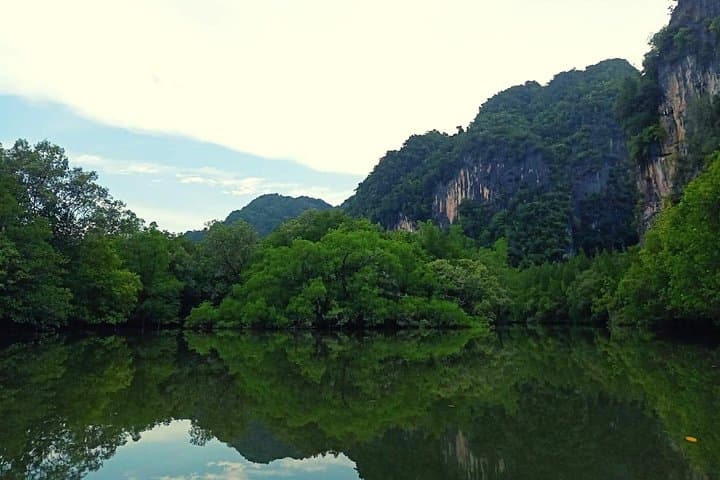 Krabi Kayaking at Ban Bor Thor: Ancient Caves & Mangrove Wildlife photo 4