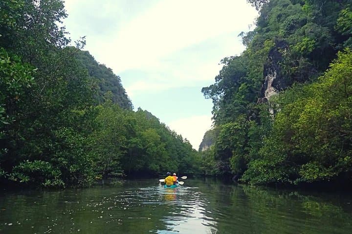 Krabi Kayaking at Ban Bor Thor: Ancient Caves & Mangrove Wildlife photo 3