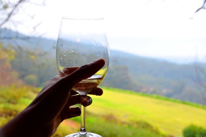 Cape Winelands Wine Tasting Full-Day Tour — Stellenbosch & Franschhoek