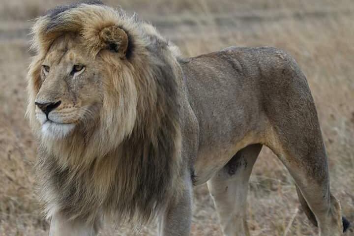 2-Day Camping Safari to Lake Manyara & Ngorongoro Crater photo 4