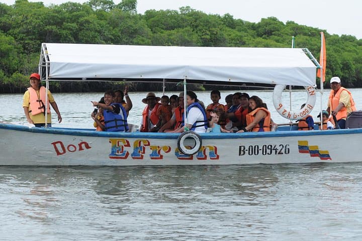 Dolphin Watching in Puerto El Morro: Day Cruise from Guayaquil photo 4