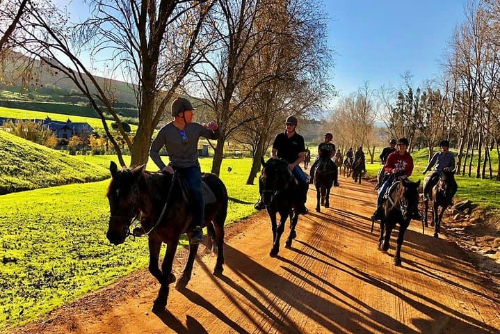 Half-Day Horseback Wine Trail in Franschhoek — Ride the Drakenstein Vines photo 2