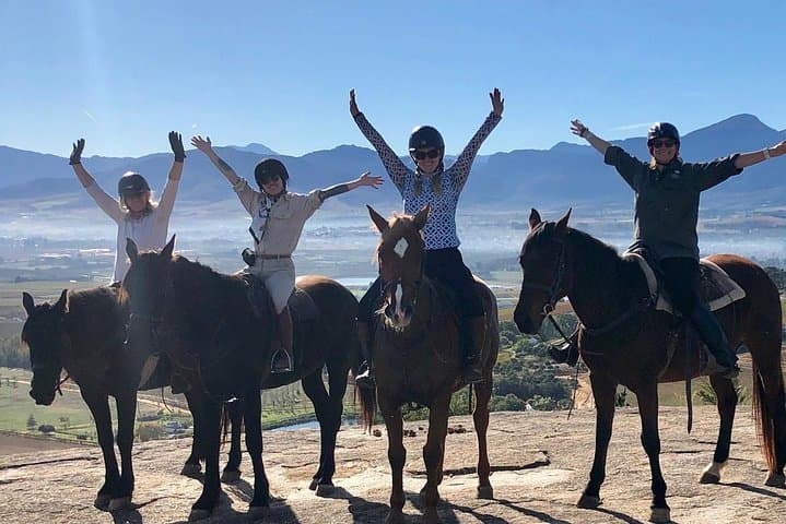 Half-Day Horseback Wine Trail in Franschhoek — Ride the Drakenstein Vines photo 3