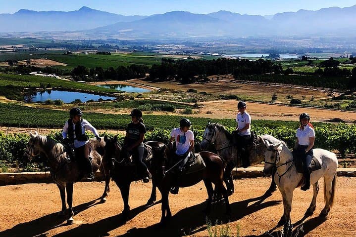 Paarl Full-Day Wine Tasting Horse Trail — Ride the Cape Winelands photo 3