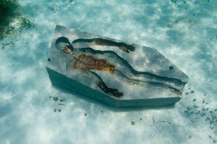 Cancún Snorkeling: Underwater Museum, Reefs & Swim with Turtles photo 4