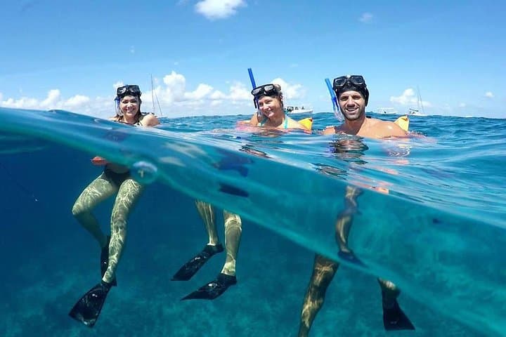 Cancún Snorkeling: Underwater Museum, Reefs & Swim with Turtles
