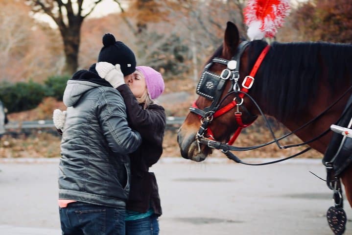 Central Park Surprise Proposal Carriage Ride — Private 60-Min Romantic Tour photo 4