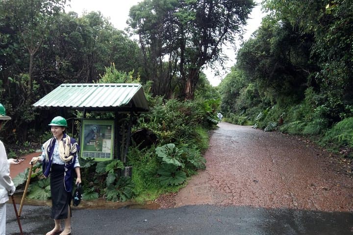 Half-Day Poás Volcano Tour from San José: Crater Views & Cloud Forest photo 5