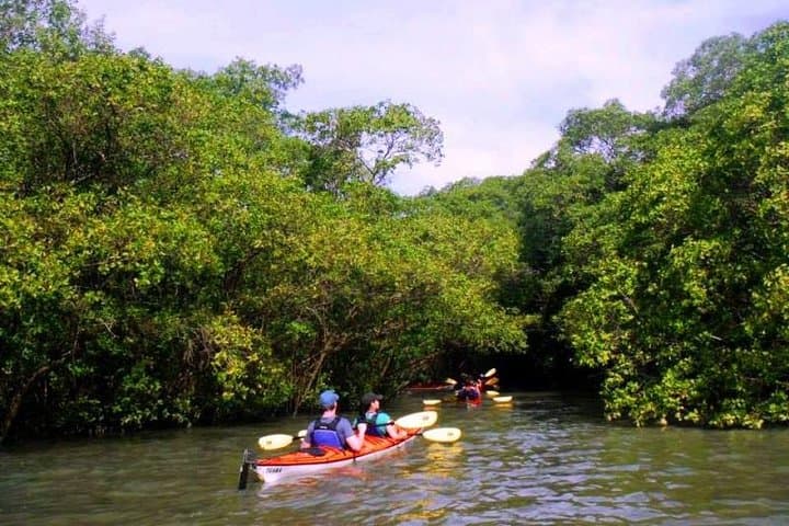Paraty Bay Mangrove and Beach Kayak Tour: Paddle, Snorkel & Island Beaches photo 3