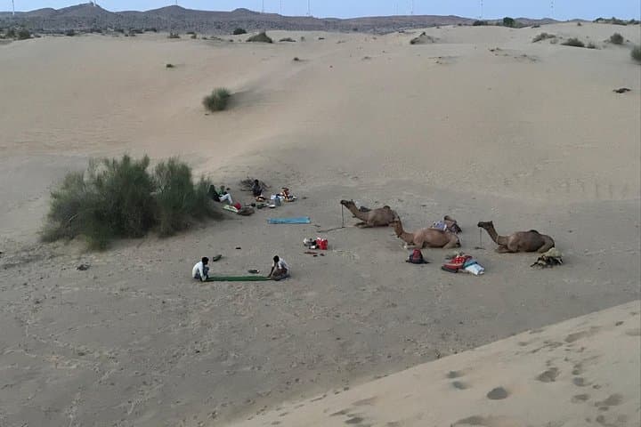 Overnight Thar Desert Camel Safari from Jaisalmer — Sunset Dunes & Starry Camp photo 3