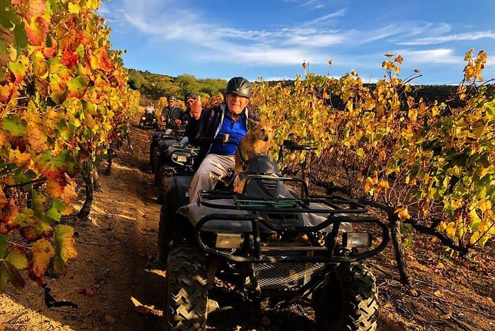 Vrede en Lust Nature Quad Trail — 1.5-Hour ATV in the Simonsberg Foothills