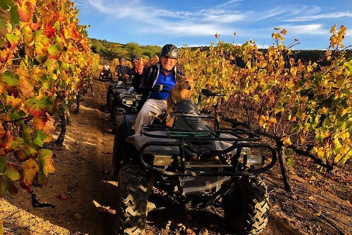 Nature Quad Trail at Vrede en Lust: 2-Hour ATV Ride Through Simonsberg Foothills photo 5