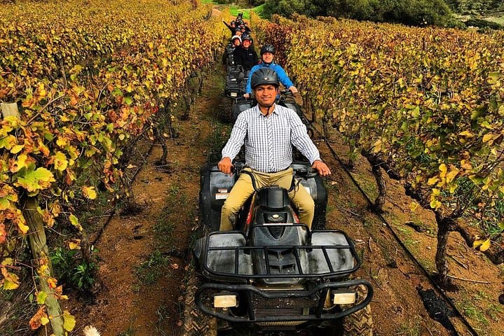 Nature Quad Trail at Vrede en Lust: 2-Hour ATV Ride Through Simonsberg Foothills photo 2
