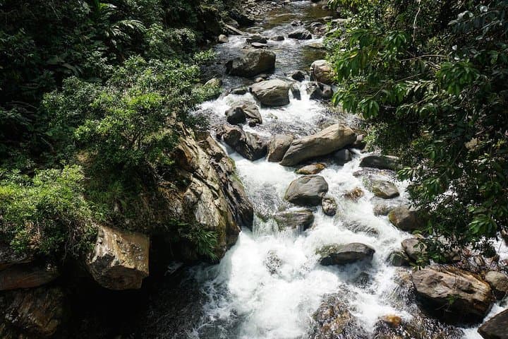 4-Day Lost City Trek (Ciudad Perdida) from Santa Marta — What to Expect photo 2