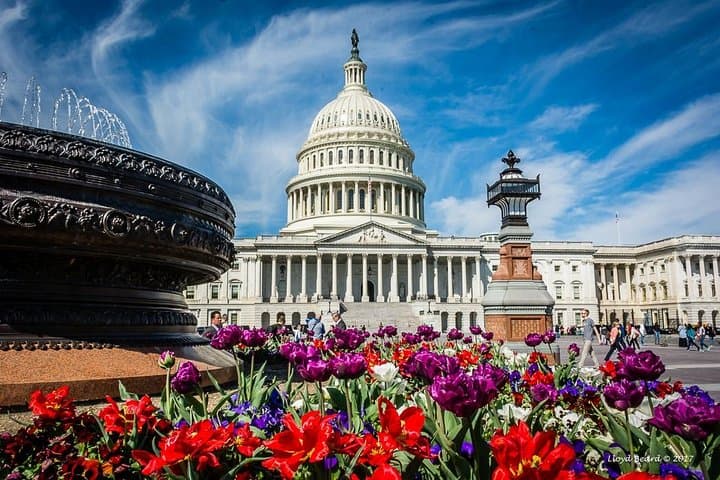 Private Washington DC Tour for Small Groups — 3-Hour Guided Step‑Off Experience photo 2