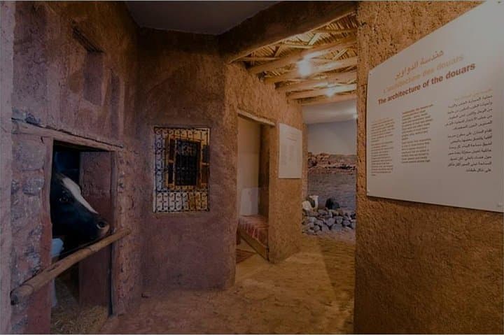 Explore Toubkal’s Ecomuseum and Imlil: Day Trip from Marrakech photo 3