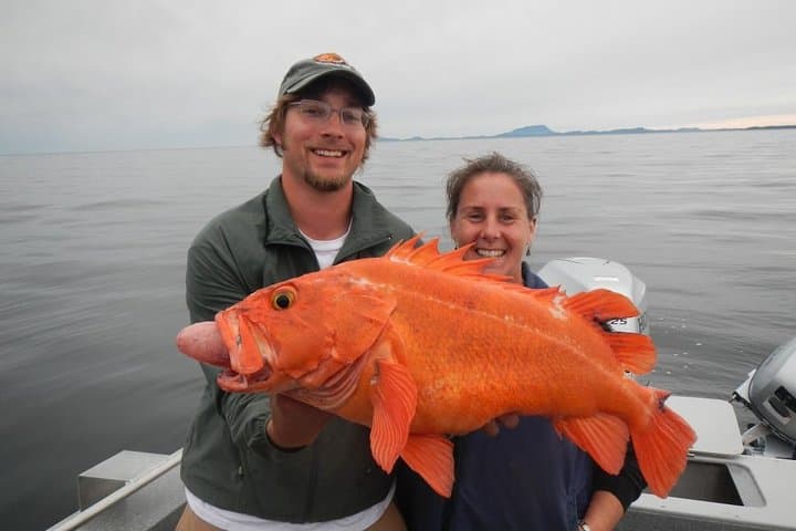 Private Ketchikan Fishing Charter: Salmon & Halibut in the Inside Passage photo 4