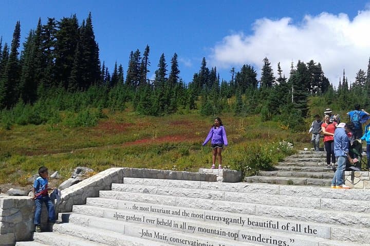 Mount Rainier Full-Day Private Tour from Seattle: Paradise, Waterfalls & Wildflower Meadows photo 3
