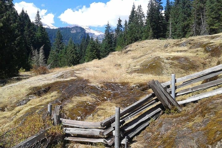 Mount Rainier Full-Day Private Tour from Seattle: Paradise, Waterfalls & Wildflower Meadows photo 5