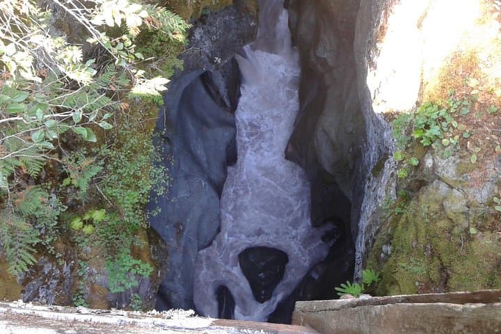 Mount Rainier Full-Day Private Tour from Seattle: Paradise, Waterfalls & Wildflower Meadows photo 6
