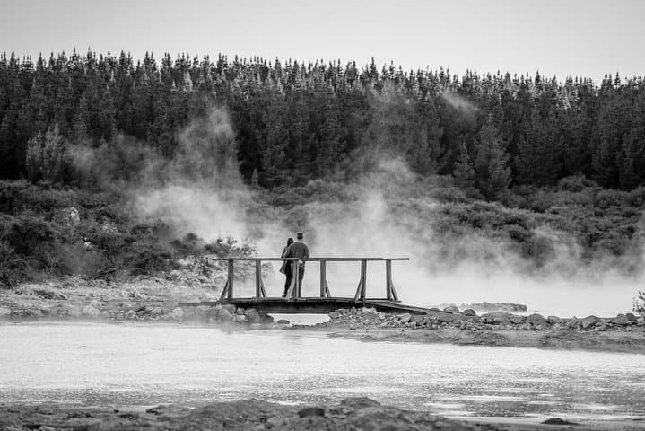 Hell's Gate Rotorua Geothermal Walk, Mud Baths & Māori Carving Experience