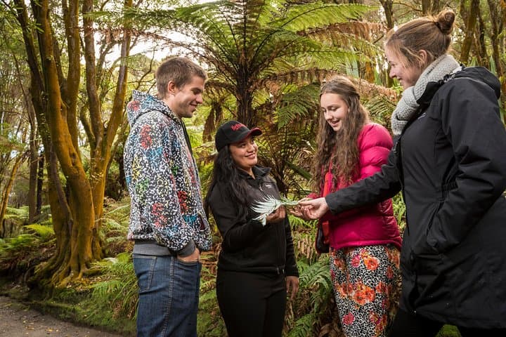 Hell's Gate Rotorua Geothermal Walk, Mud Baths & Māori Carving Experience photo 6