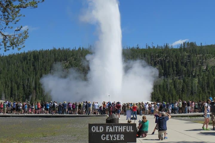 Yellowstone Lower Loop Private Full-Day Tour from Jackson Hole