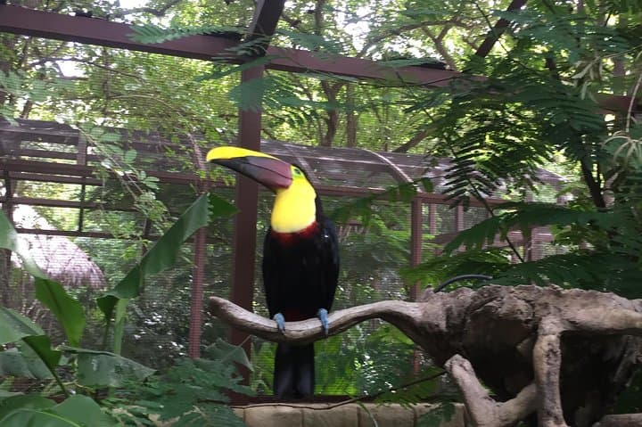 Beach-Mountain & Sloth Refuge Buggy Tour — Playa Flamingo, Guanacaste photo 4