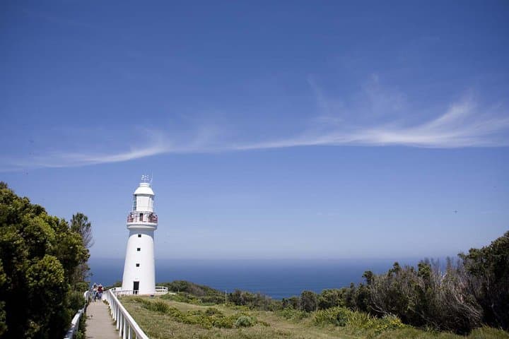 Three-Day Great Ocean Road Adventure: Waterfalls, Otway Fly & Twelve Apostles photo 5