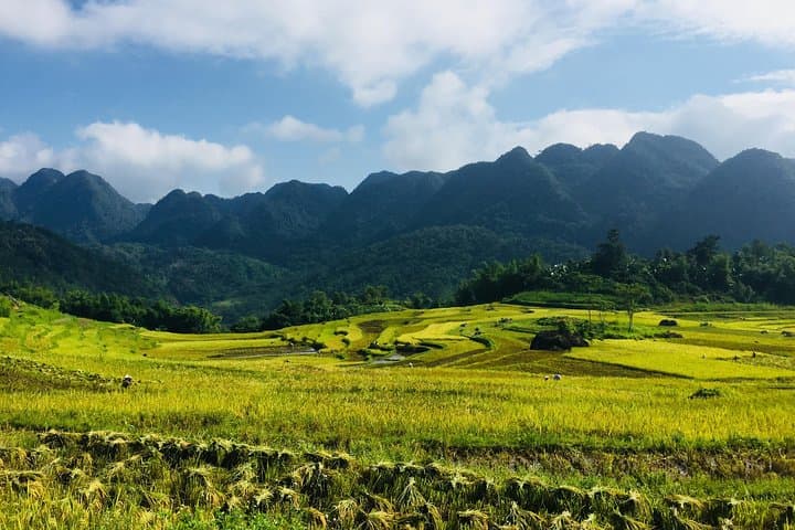 Explore Mai Chau, Pu Luong & Ninh Binh: 4-Day Cultural Trek and Trang An Boat Tour