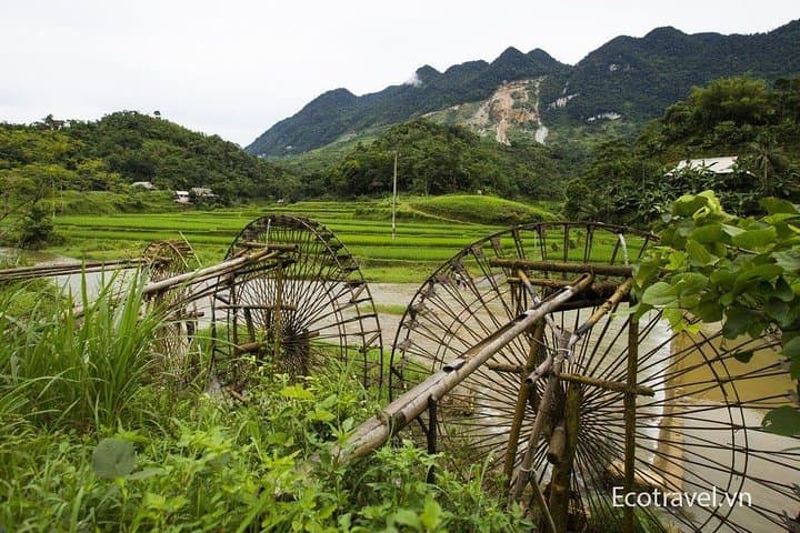 Explore Mai Chau, Pu Luong & Ninh Binh: 4-Day Cultural Trek and Trang An Boat Tour photo 4