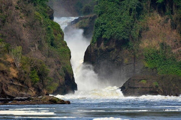 3-Day Murchison Falls Wildlife Safari — Nile Boat Cruise, Rhinos & Top-of-Falls Hike photo 5