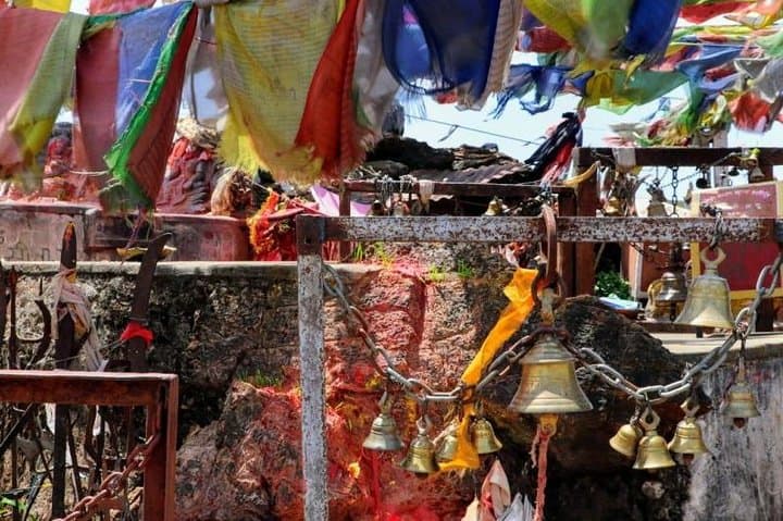 Phulchowki Day Hike: Summit Views & Birding in Kathmandu Valley photo 2