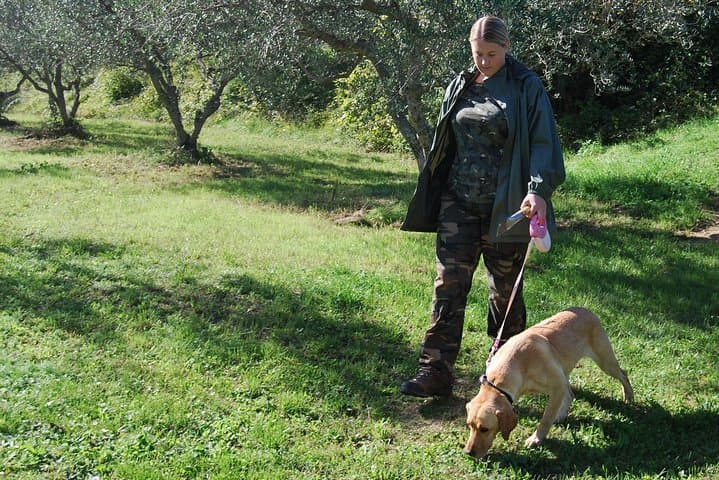 Truffle Hunting and Tasting in Slovenian Istria — Guided Forest Experience photo 3
