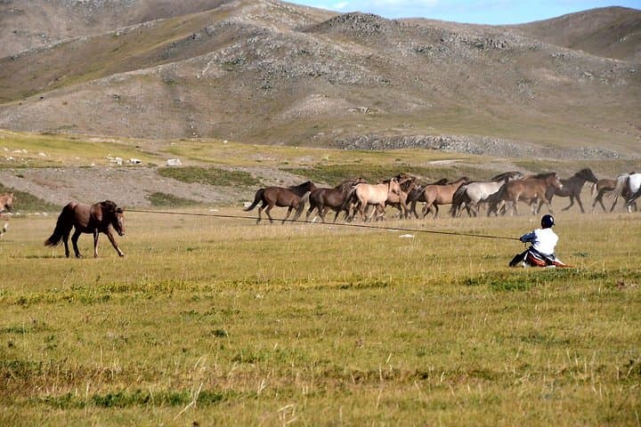 Terelj National Park & Chinggis Khaan Statue: Day Trip from Ulaanbaatar photo 3