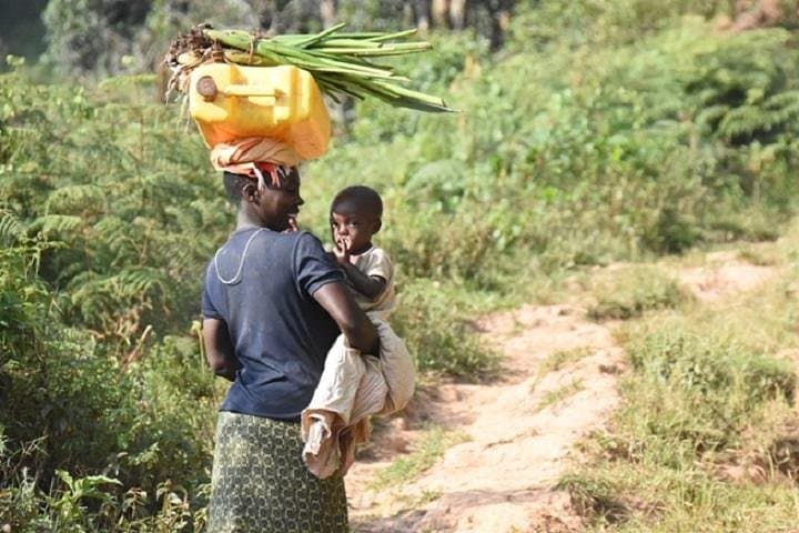 10-Day Classic Uganda Safari: Gorilla Treks, Chimp Trails & Kazinga Channel photo 6