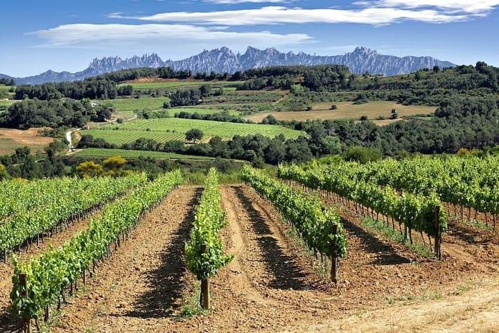 Supercar Road Trip from Barcelona to a Catalan Winery — 4-Hour Luxury Driving Experience photo 2