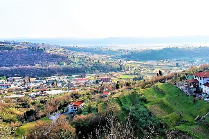 Coastal Footpath Above Lucija: Olive Groves, Salt Pans & Istrian Breakfast photo 2